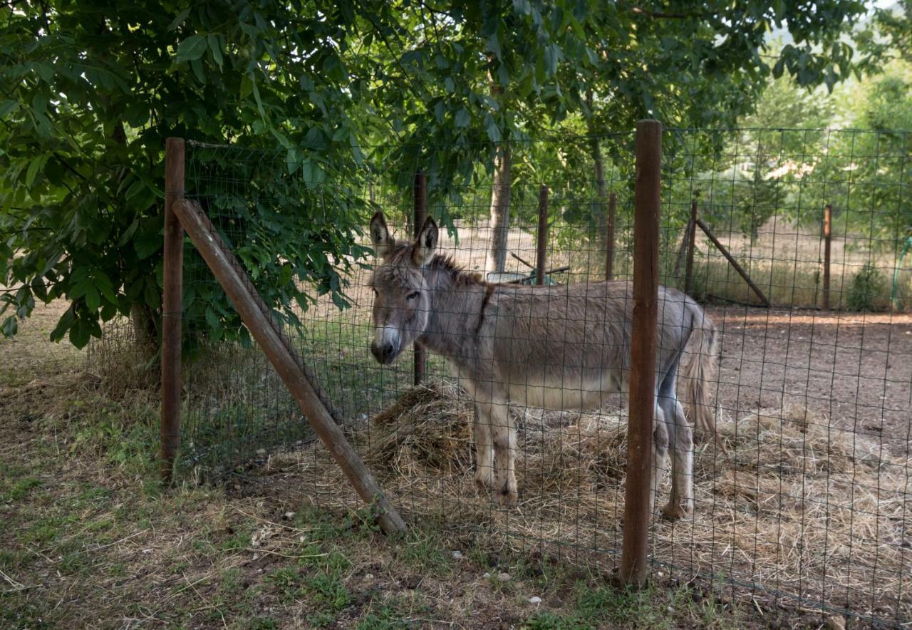 Agriturismo Il Giardino Dei Ciliegi Passaggio di Assisi Exterior foto