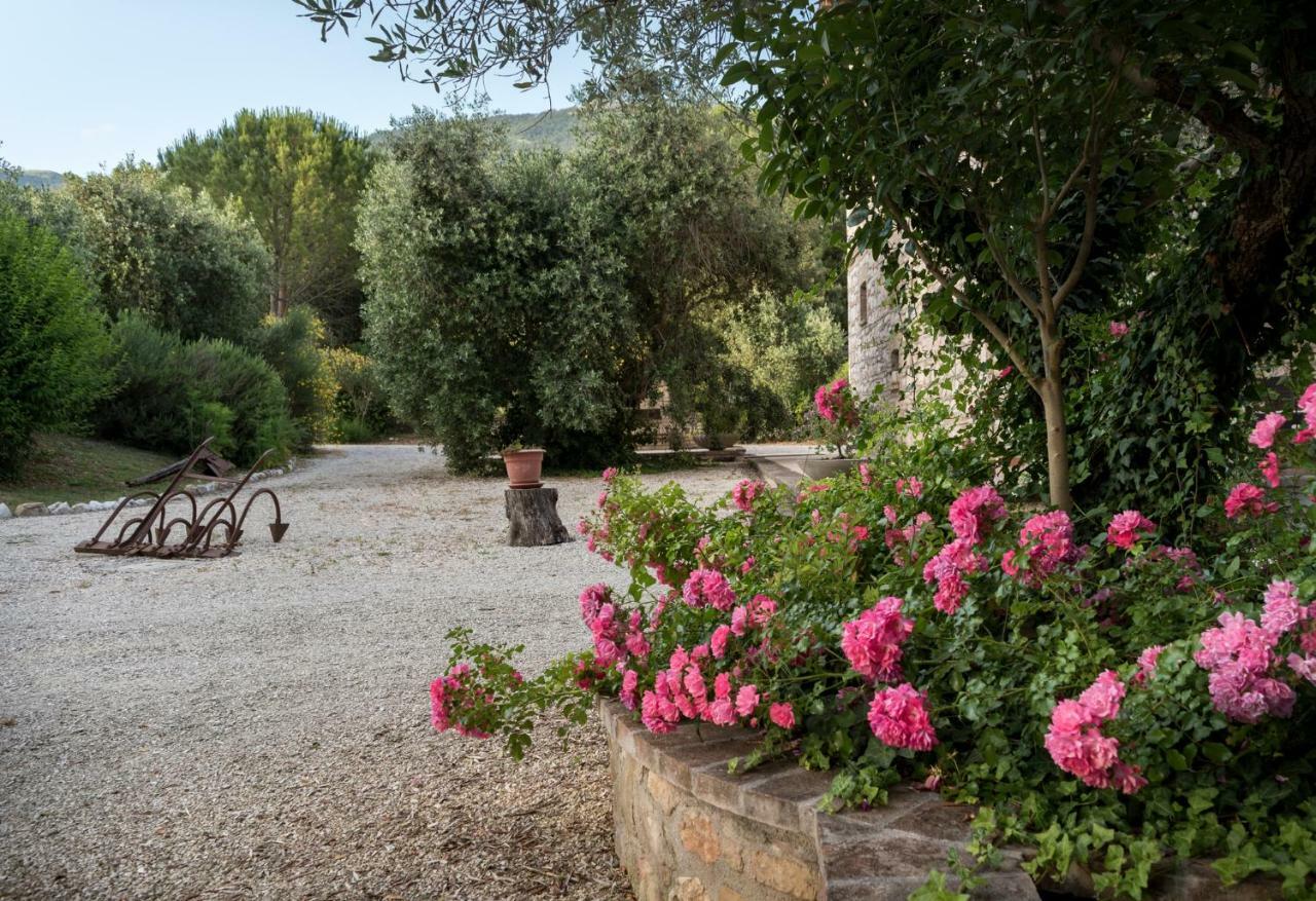 Agriturismo Il Giardino Dei Ciliegi Passaggio di Assisi Exterior foto